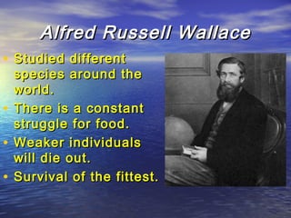 Alfred Russell WallaceAlfred Russell Wallace
• Studied differentStudied different
species around thespecies around the
world.world.
• There is a constantThere is a constant
struggle for food.struggle for food.
• Weaker individualsWeaker individuals
will die out.will die out.
• Survival of the fittest.Survival of the fittest.
 