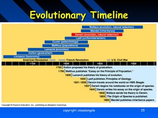Theory Of Evolution Timeline