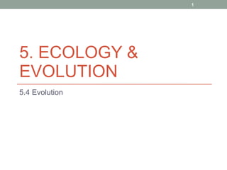 5. ECOLOGY & EVOLUTION  5.4 Evolution  