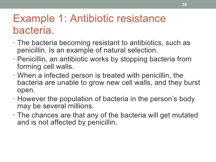 Antibiotics In Relation To Natural Selection Antibiotics In Relation To Natural Selection