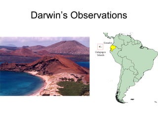 Darwin’s Observations