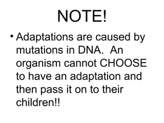 NOTE!
• Adaptations are caused by
mutations in DNA. An
organism cannot CHOOSE
to have an adaptation and
then pass it on to their
children!!