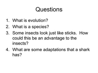 Questions
1. What is evolution?
2. What is a species?
3. Some insects look just like sticks. How
could this be an advantage to the
insects?
4. What are some adaptations that a shark
has?
