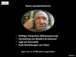 Homo neanderthalensis
• Kräftiger Körperbau (Kälteanpassung)
• Herstellung von Kleidern & Schmuck
• Jagd auf Grosswild
• Erste Bestattungen von Toten
Status: Vor ca. 27'000 Jahren ausgestorben
Website
Zurück
 