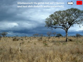 InfoGlückwunsch! Du gehst nun auf 2 Beinen
und hast dich dadurch weiterentwickelt!
 