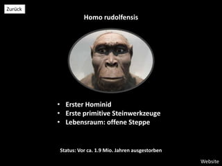 Homo rudolfensis
Website
Zurück
• Erster Hominid
• Erste primitive Steinwerkzeuge
• Lebensraum: offene Steppe
Status: Vor ca. 1.9 Mio. Jahren ausgestorben
 