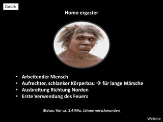 Homo ergaster
• Arbeitender Mensch
• Aufrechter, schlanker Körperbau  für lange Märsche
• Ausbreitung Richtung Norden
• Erste Verwendung des Feuers
Status: Vor ca. 1.4 Mio. Jahren verschwunden
Website
Zurück
 