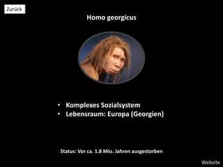 Homo georgicus
Website
Zurück
• Komplexes Sozialsystem
• Lebensraum: Europa (Georgien)
Status: Vor ca. 1.8 Mio. Jahren ausgestorben
 