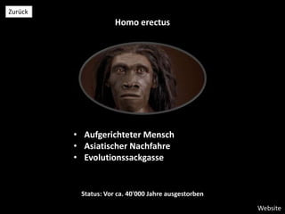 Homo erectus
• Aufgerichteter Mensch
• Asiatischer Nachfahre
• Evolutionssackgasse
Status: Vor ca. 40'000 Jahre ausgestorben
Website
Zurück
 