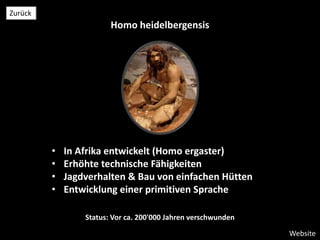 Homo heidelbergensis
Website
Zurück
• In Afrika entwickelt (Homo ergaster)
• Erhöhte technische Fähigkeiten
• Jagdverhalten & Bau von einfachen Hütten
• Entwicklung einer primitiven Sprache
Status: Vor ca. 200'000 Jahren verschwunden
 