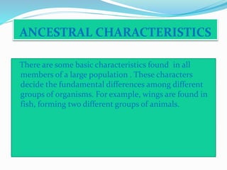 ANCESTRAL CHARACTERISTICS 
There are some basic characteristics found in all 
members of a large population . These characters 
decide the fundamental differences among different 
groups of organisms. For example, wings are found in 
fish, forming two different groups of animals. 
 