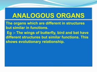 ANALOGOUS ORGANS 
The organs which are different in structures 
but similar in functions. 
Eg :- The wings of butterfly, bird and bat have 
different structures but similar functions. This 
shows evolutionary relationship. 
 