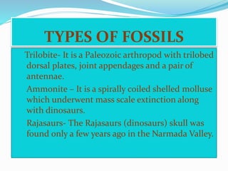 TYPES OF FOSSILS 
Trilobite- It is a Paleozoic arthropod with trilobed 
dorsal plates, joint appendages and a pair of 
antennae. 
1. Ammonite – It is a spirally coiled shelled molluse 
which underwent mass scale extinction along 
with dinosaurs. 
2. Rajasaurs- The Rajasaurs (dinosaurs) skull was 
found only a few years ago in the Narmada Valley. 
 