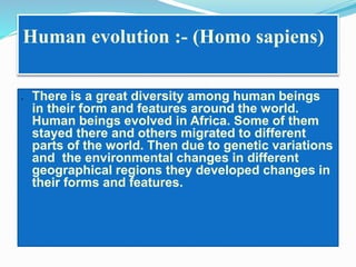 Human evolution :- (Homo sapiens) 
 There is a great diversity among human beings 
in their form and features around the world. 
Human beings evolved in Africa. Some of them 
stayed there and others migrated to different 
parts of the world. Then due to genetic variations 
and the environmental changes in different 
geographical regions they developed changes in 
their forms and features. 
 