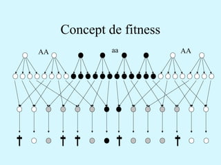 Concept de fitness 
AA aa AA 
 
