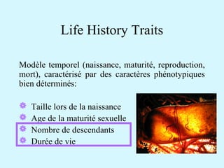 Life History Traits 
Modèle temporel (naissance, maturité, reproduction, 
mort), caractérisé par des caractères phénotypiques 
bien déterminés: 
 Taille lors de la naissance 
 Age de la maturité sexuelle 
 Nombre de descendants 
 Durée de vie 
 