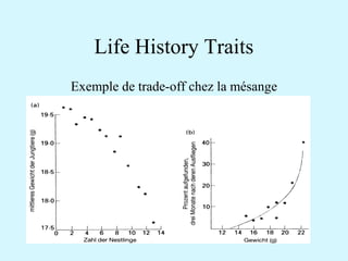 Life History Traits 
Exemple de trade-off chez la mésange 
 