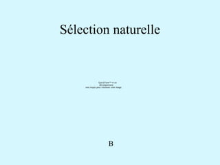 Sélection naturelle 
QuickTime™ et un 
décompresseur 
sont requis pour visionner cette image. 
B 
 