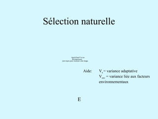 Sélection naturelle 
QuickTime™ et un 
décompresseur 
sont requis pour visionner cette image. 
E 
Aide: Va = variance adaptative 
Venv = variance liée aux facteurs 
environnementaux 
 