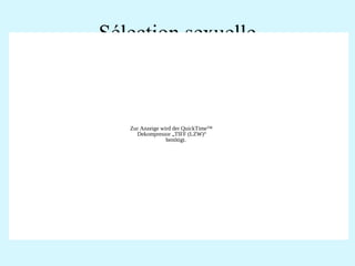 Sélection sexuelle 
Modèle de Hamilton-Zuk: 
Exemple chez l’hirondelle rustique 
Zur Anzeige wird der QuickTime™ 
Dekompressor „TIFF (LZW)“ 
benötigt. 
 