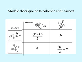 Modèle théorique de la colombe et du faucon 
(V - C) 
0 
V 
V - D 
2 
( ) 
2 
 