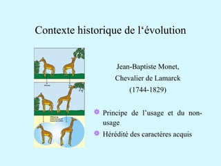 Contexte historique de l‘évolution 
Jean-Baptiste Monet, 
Chevalier de Lamarck 
(1744-1829) 
 Principe de l’usage et du non-usage 
 Hérédité des caractères acquis 
 