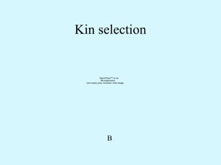 Kin selection 
QuickTime™ et un 
décompresseur 
sont requis pour visionner cette image. 
B 
 