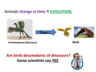 Animals change in time = EVOLUTION.
Time……
Archaeopteryx (Dinosaur) Birds
Are birds descendants of dinosaurs?
Some scienti...