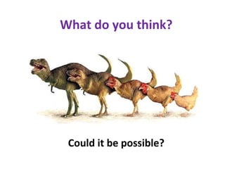 What do you think?
Could it be possible?
 