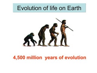 Evolution of life on EarthEvolution of life on Earth
4,500 million years of evolution
 