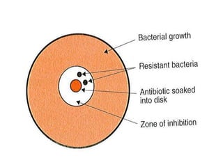 Involution Microbio Evolution | PPTX