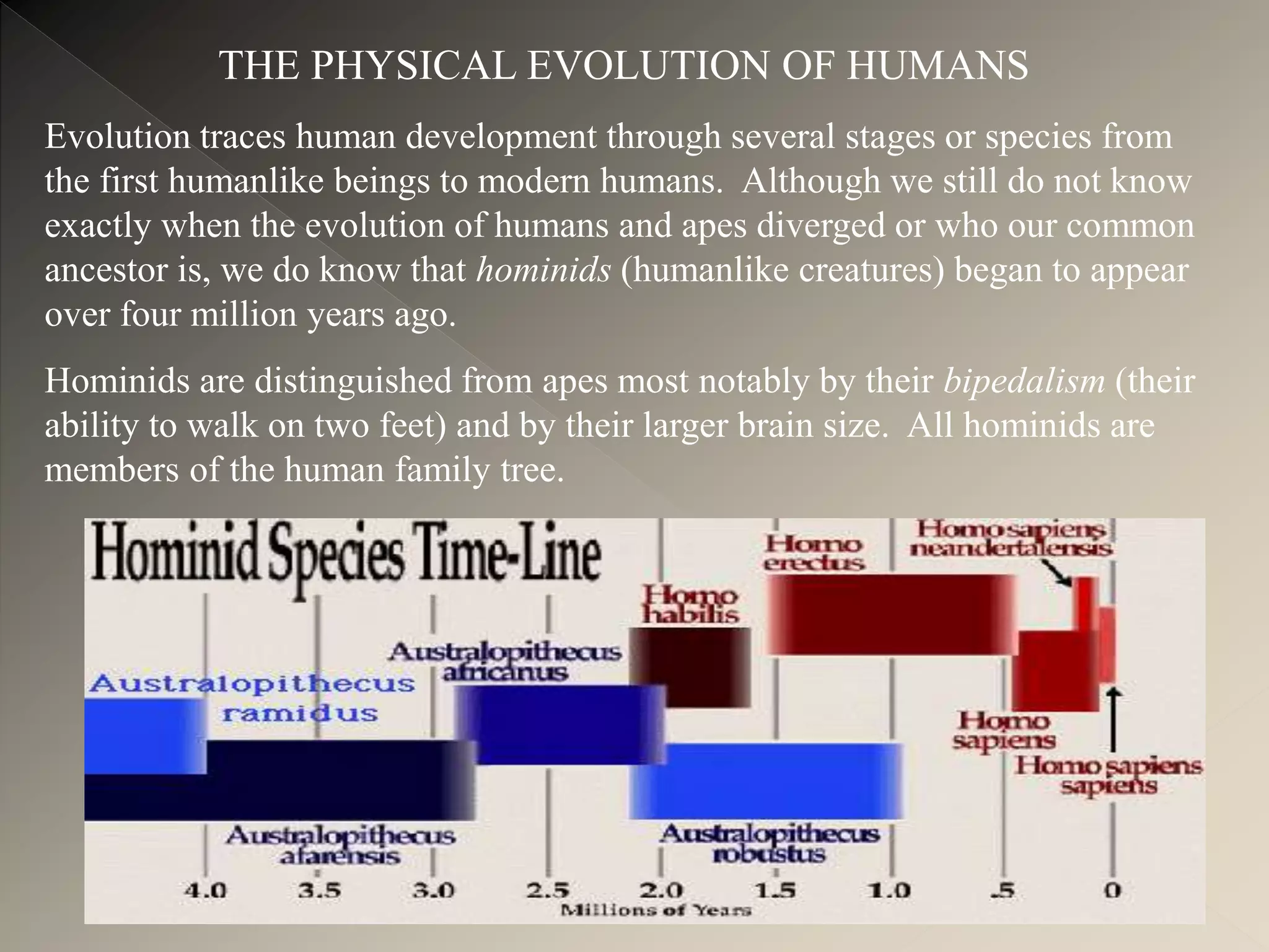 project on Evolution | PPTX