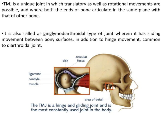 Evolution of jaws and tmj | PPTX