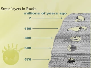 Stratification Evolution theory of evolution by charles darwin -161023055712.pptx