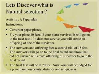 Lets Discover what is
Natural selection ?
Activity : A Paper plan
Instructions:
• Construct paper planes.
• Fly your plane 10 feet. If your plane survives, it will go on
to the next test. If it does not survive you will create an
offspring of one of the survivors.
• The survivors and offspring face a second trial of 15 feet.
The survivors will go on to the final round and those that
did not survive will create offspring of survivors to go to the
final round.
• The final test will be at 20 feet. Survivors will be judged for
a prize based on beauty, distance and uniqueness.
 