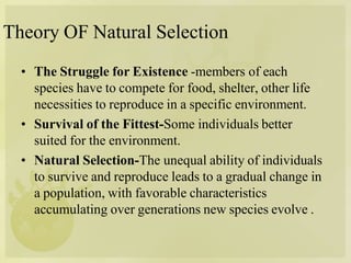 Theory OF Natural Selection
• The Struggle for Existence -members of each
species have to compete for food, shelter, other life
necessities to reproduce in a specific environment.
• Survival of the Fittest-Some individuals better
suited for the environment.
• Natural Selection-The unequal ability of individuals
to survive and reproduce leads to a gradual change in
a population, with favorable characteristics
accumulating over generations new species evolve .
 