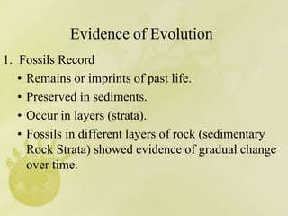 Evidence of Evolution
1. Fossils Record
• Remains or imprints of past life.
• Preserved in sediments.
• Occur in layers (strata).
• Fossils in different layers of rock (sedimentary
Rock Strata) showed evidence of gradual change
over time.
 