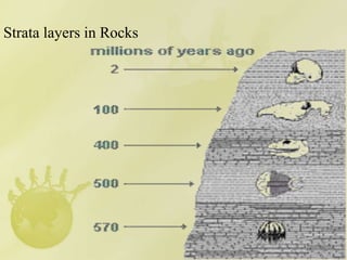 Strata layers in Rocks
 