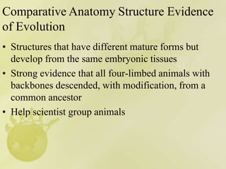 Comparative Anatomy Structure Evidence
of Evolution
• Structures that have different mature forms but
develop from the same embryonic tissues
• Strong evidence that all four-limbed animals with
backbones descended, with modification, from a
common ancestor
• Help scientist group animals
 