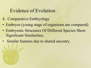 Evidence of Evolution
4. Comparative Embryology
• Embryos (young stage of organisms are compared)
• Embryonic Structures Of Different Species Show
Significant Similarities.
• Similar features due to shared ancestry.
 