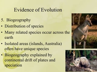 Evidence of Evolution
5. Biogeography
• Distribution of species
• Many related species occur across the
earth
• Isolated areas (islands, Australia)
often have unique species
• Biogeography explained by
continental drift of plates and
speciation
 