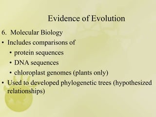 Evidence of Evolution
6. Molecular Biology
• Includes comparisons of
• protein sequences
• DNA sequences
• chloroplast genomes (plants only)
• Used to developed phylogenetic trees (hypothesized
relationships)
 