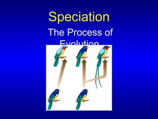 Evolution | PPT