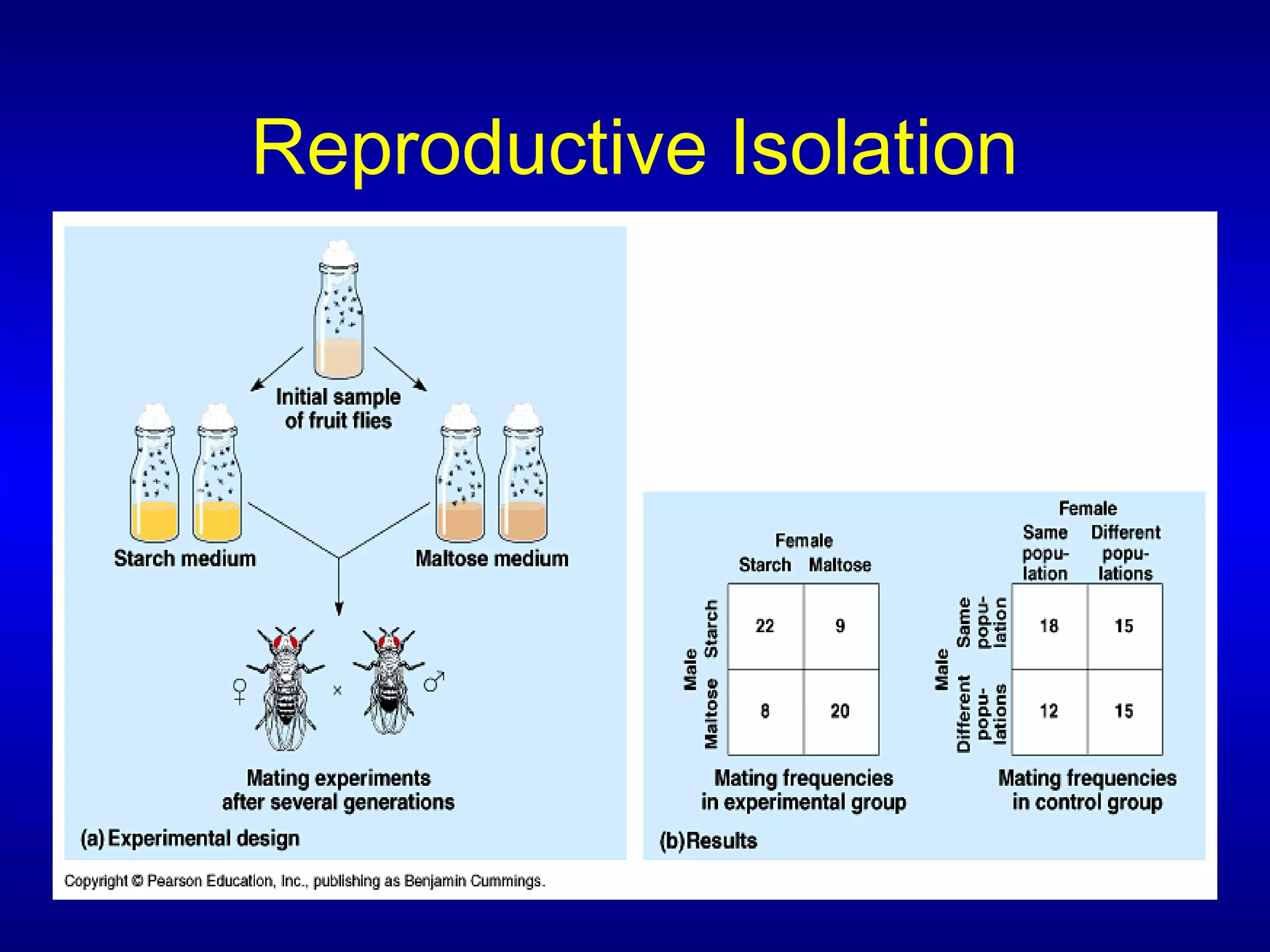 Reproductive Isolation
 