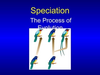 Speciation
The Process of
Evolution
 