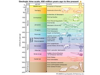 Geologic Time Scale
 