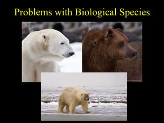 Problems with Biological Species
 