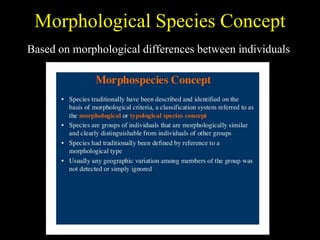 Morphological Species Concept
Based on morphological differences between individuals
 
