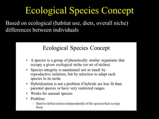 Ecological Species Concept
Based on ecological (habitat use, diets, overall niche)
differences between individuals
 