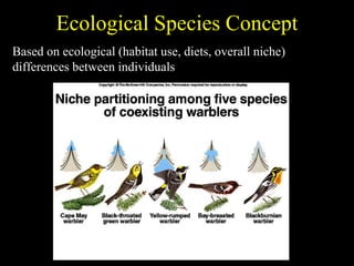Ecological Species Concept
Based on ecological (habitat use, diets, overall niche)
differences between individuals
 